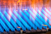 Prenbrigog gas fired boilers